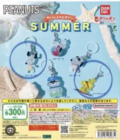 PEANUTS 메지루시 액세서리 SUMMER 스누피 B 우드스톡