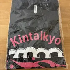 マラソン大会Tシャツ　Mサイズ　錦帯橋ロードレース