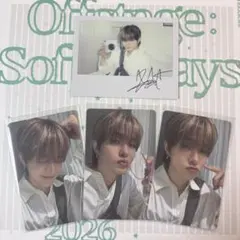 treasure シーグリ 2026 ジフン トレカ チェキ