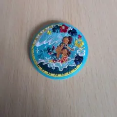 Disney　刺繍缶バッチ