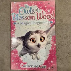 Item thumbnail for item 53af4f73-8b6d-4e30-a73a-8026f7a6722e