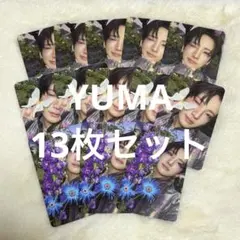 &TEAM YUMA ユウマ ソロジャケ トレカ 13枚セット