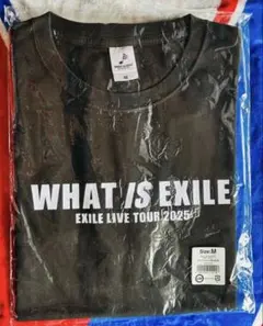 WHAT IS EXILE Tシャツ Mサイズ