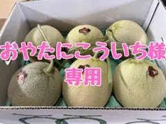 地域によって値引き】夕張メロン共撰品良品6玉 1玉約1.3kg※掲載は九州