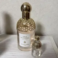 ⭐︎GUERLAIN LE FLACON SAC ⭐︎ トラベルスプレー容器 - メルカリ