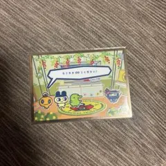 たまごっち カード 約88×63mm 日本製　特典