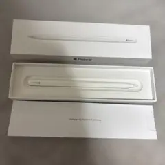 Apple Pencil (第2世代) ジャンク