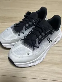 Item thumbnail for item 223c2cac-f168-4160-b9c3-af7163ffdab2