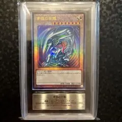 2025年最新】青眼の白龍 レリーフ ars10の人気アイテム - メルカリ