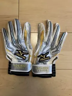 Item thumbnail for item a5f5cdae-bb69-442b-a199-1512786ecdef