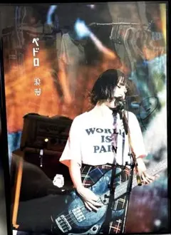 2025年最新】pedro ポスターの人気アイテム - メルカリ