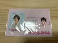 道枝駿佑 マイハル カードセット