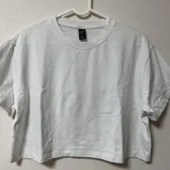 レディース　無地Tシャツ　ショート丈　クロップドTシャツ　へそ出し