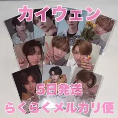 2週目 展示会 カイウェン コンプ 10枚 トレカ セット