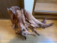 爬虫類・魚等　流木 自然な形状 茶色