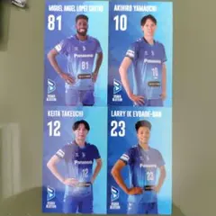 Item thumbnail for item a0104bdb-00ae-444d-bbab-7bcbbbc76e7e