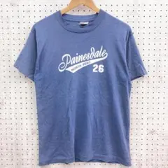 USA製90年代ビンテージ Fruit of the Loom カレッジTシャツ