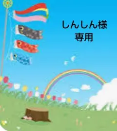 しんしん様 リクエスト 3点 まとめ商品