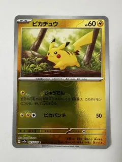 ピカチュウ モンスターボールミラー 151