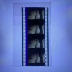 2025年最新】シュタインズ ゲート フィルムの人気アイテム - メルカリ