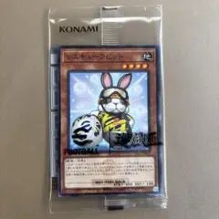 2026年最新】レスキューラビットの人気アイテム - メルカリ