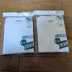 Item thumbnail for item 53d94055-6fba-4f8e-9e67-80dac7870c79