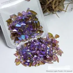 ネイルパーツ 樹脂 偏光パープル 形状ミックス 100個