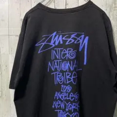 stussy Tribe Stack Tee tシャツ
