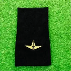 Item thumbnail for item 83622dd0-b002-4b1b-93d1-699756752e7b