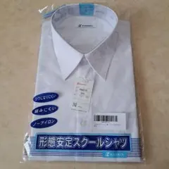 Item thumbnail for item e90005c0-d4d5-4325-9291-e279b700e449