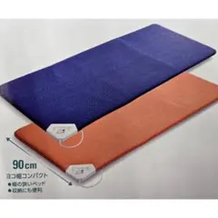 オレンジ 京都西川 ローズテクニーJNR-1003(SGI)