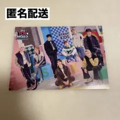 Stray Kids スキズ　ラントレ　skz toy world all 集合