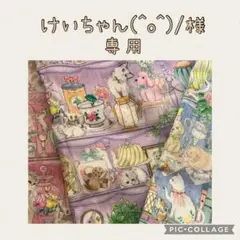 けいちゃん(^o^)/様専用