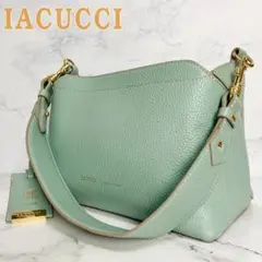 B214【極美品】IACUCCI★シボ革 ワンショルダーバッグ ライトグリーンのサムネイル