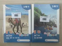 2025年最新】ジュニア予習シリーズ 3年の人気アイテム - メルカリ