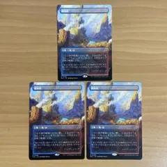 W*N様 蒸気孔 ボーダーレスnon foil 3枚セット 日本語 MTG - メルカリ