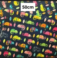 【在庫わずか】50cm 生地　カメレオン　爬虫類　シーチング