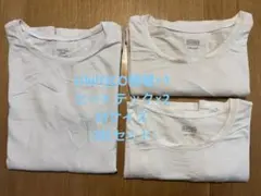 Item thumbnail for item 95a8d14c-4096-41b4-a364-c88417df2e10