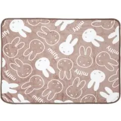 Item thumbnail for item 860fe247-3352-4340-a2cb-946179d64407