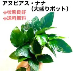 ちょも。様 リクエスト 3点 まとめ商品