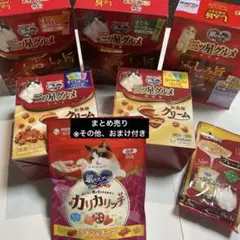 【まとめ売り・おまけ付】三ツ星グルメBOX 銀のスプーン　フレーク　カリカリ　猫のサムネイル