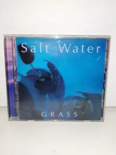 GRASS/Salt Water v系 D≒SIRE 藤井麻輝　ミニアルバム