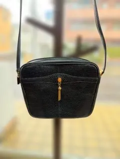 Item thumbnail for item 17f3e78d-c5b5-4b67-8ce7-3ae44d46a1a6