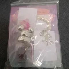 東京ディズニーリゾート2016　ミニーマウスカスタムキーホルダー