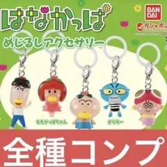 はなかっぱ めじるしアクセサリー 全5種コンプリートセット - メルカリ