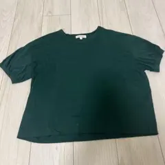 DEMYLEE NEW YORK 半袖Tシャツ グリーン Sのサムネイル