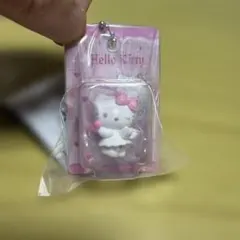 HELLO KITTY パッケージミニチュアコレクション2