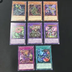 遊戯王　捕食植物セット