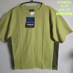 Item thumbnail for item 3ed0d7d6-356f-4515-8641-0b33c3c38ed2