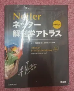 Item thumbnail for item 73ef4ad1-7dbb-446c-a813-c84e221ca479